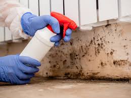 Best Mold Odor Removal Services  in Coats Bend, AL